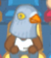 User's Picture